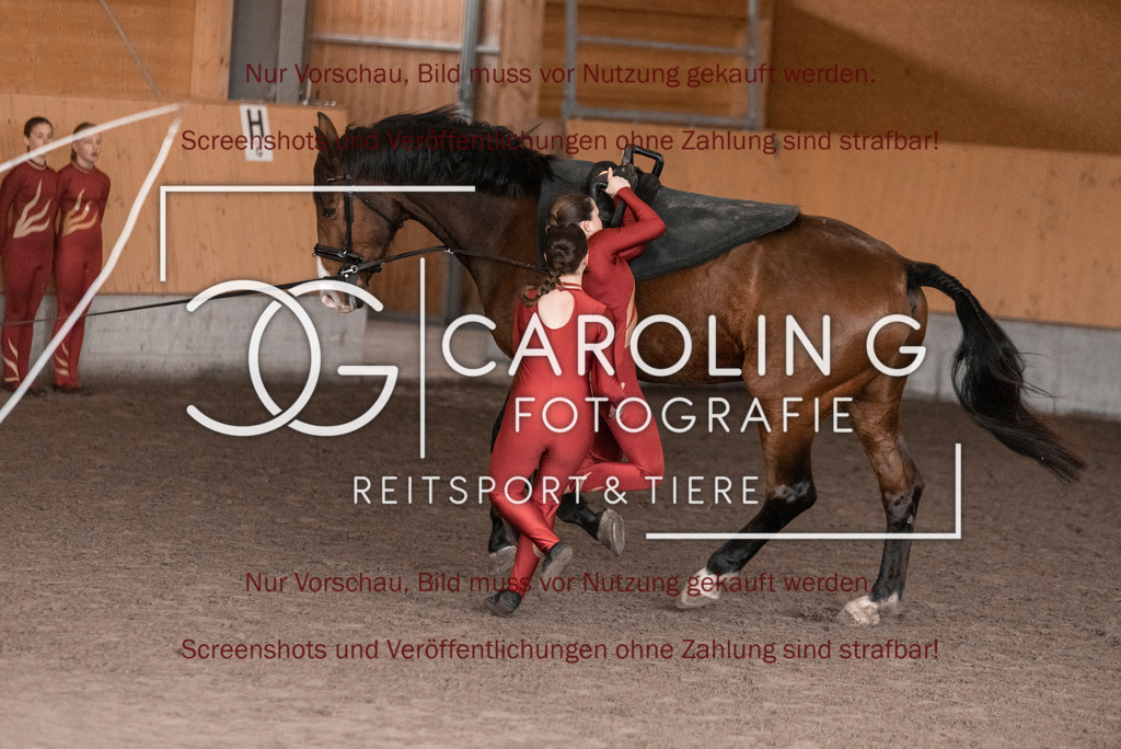DSC_2107 | Turnierfotografin Carolin Gieschke,Reitsport Turnierfotografie Carolin G Fotografie | Turnierfotos aus Kirchheim/Teck, Esslingen, Stuttgart und dem Bodenseekreis