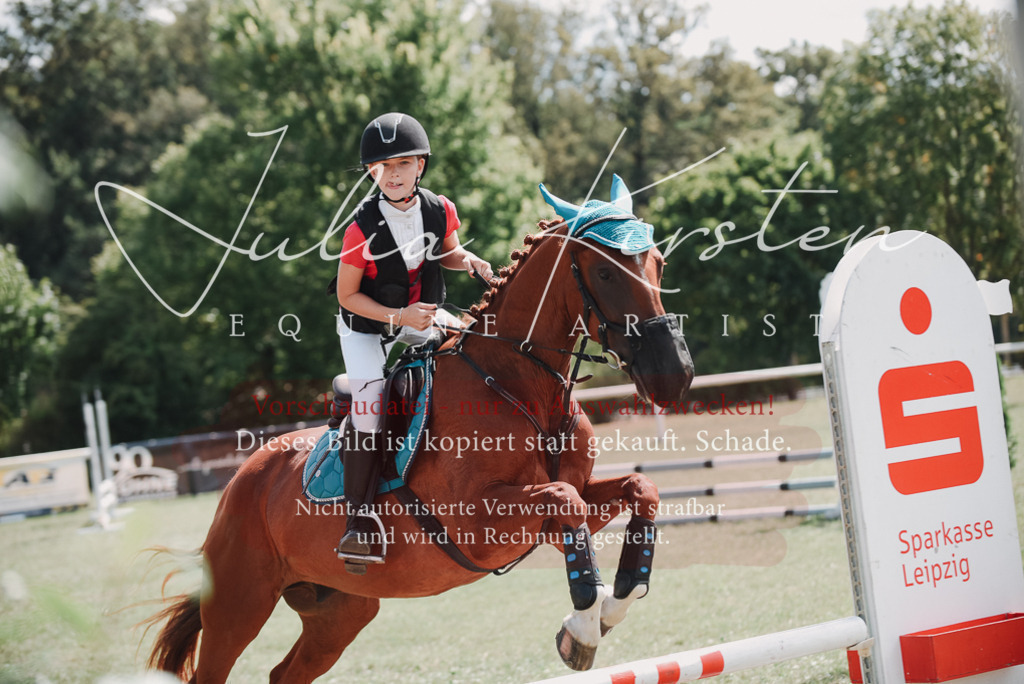DSC_5788 | Pferde- und Turnierfotografie in Westsachsen. Pferdeportraits, Auftragszeichnungen und intuitive Kunst.