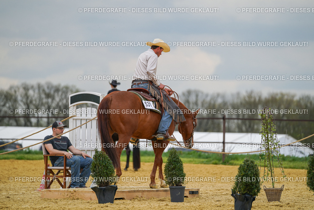 DSC07109 | Pferdegrafie