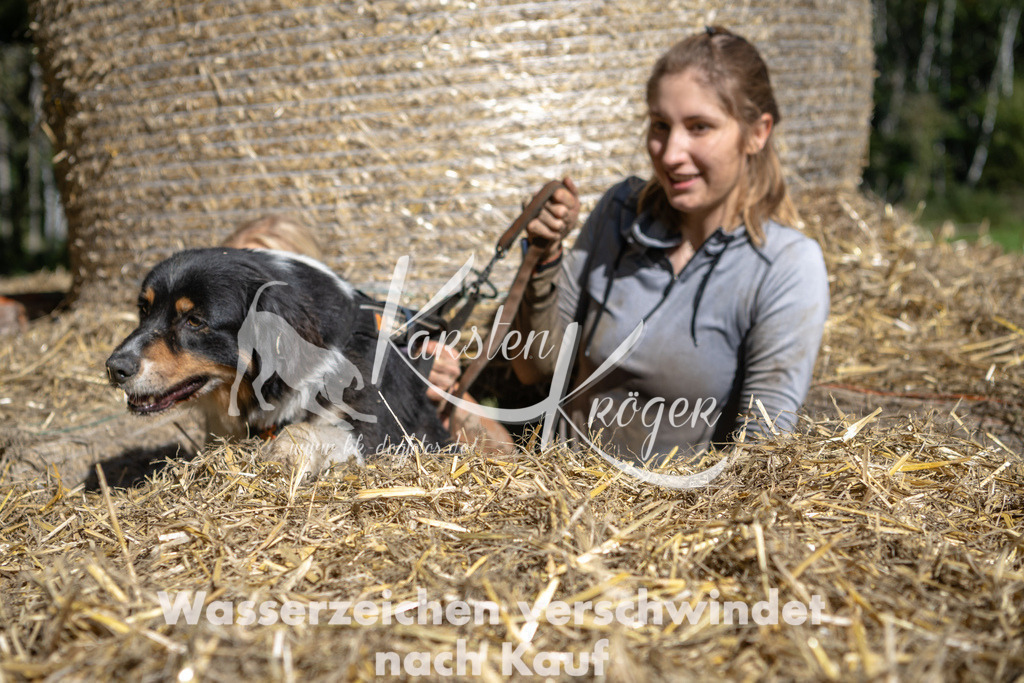 1236_ZZ91762-2 | kk-dogfotos