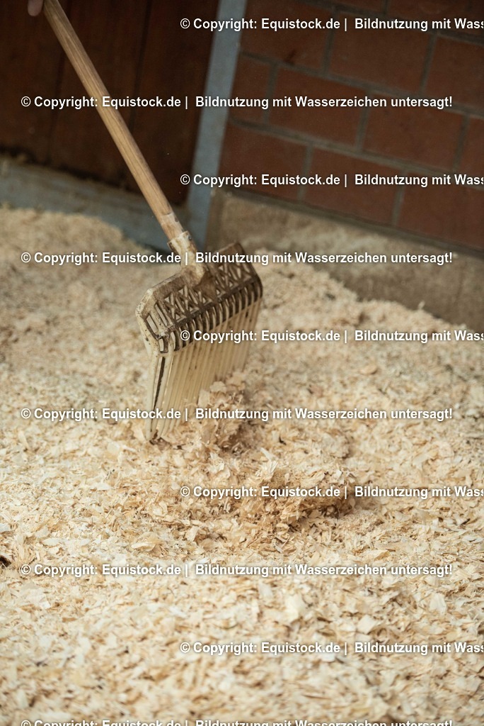 20190409_Einstreu_in_Pferdebox_0040 | Foto: Thomas Hartig