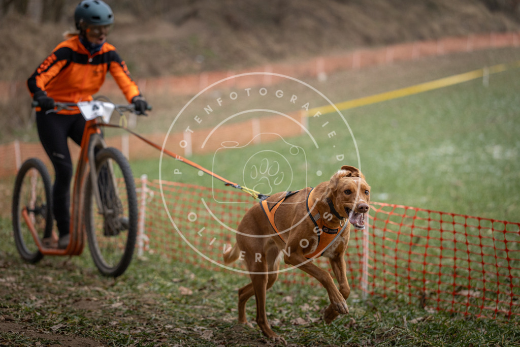 Pfotenfotografie_DV3A0464 | Hundefotografie, Tierfotograf, Pfotenfotografie, Fotoshooting Hund, Hunde Portrait, Hundesport, Hundeportraits, Heideshooting, Hunde, Sportfotograf, Hundefotograf, Turnierhundsport, THS,  - Realisiert mit Pictrs.com