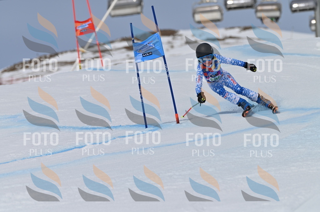 BGV_5704 | holidayphoto