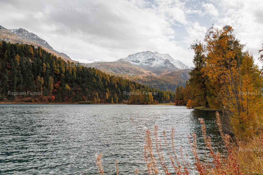 IMG_9529 | Erlebe eindrucksvolle Landschaftsfotografie aus dem Engadin und darüber hinaus. Raphael Fenner bietet zudem professionelle Fotoaufträge für Hochzeiten, Porträts und Unternehmen. Jetzt entdecken und inspirieren lassen!