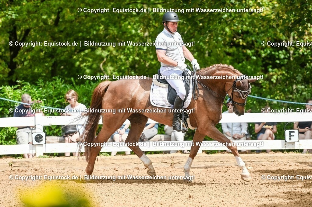 20230716_01_Dressurprüfung Kl.M_0093 | equistock