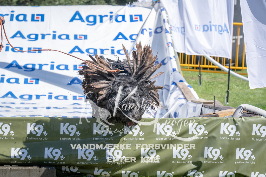 1206_ZZ94821 | kk-dogfotos