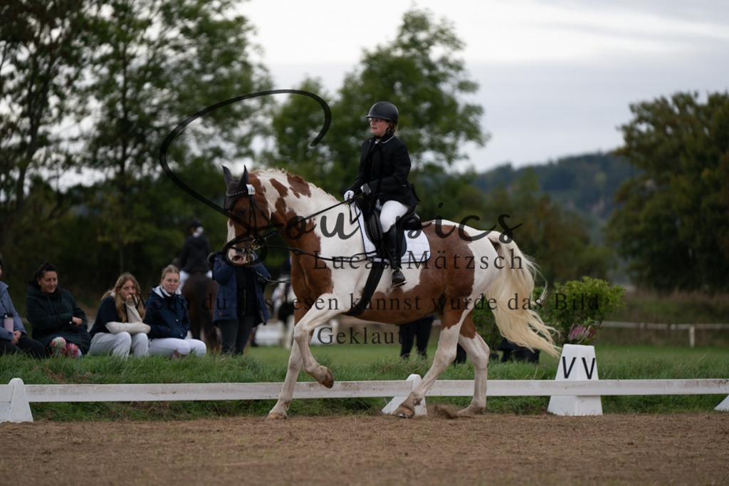 A7V05040 | Pferdefotograf