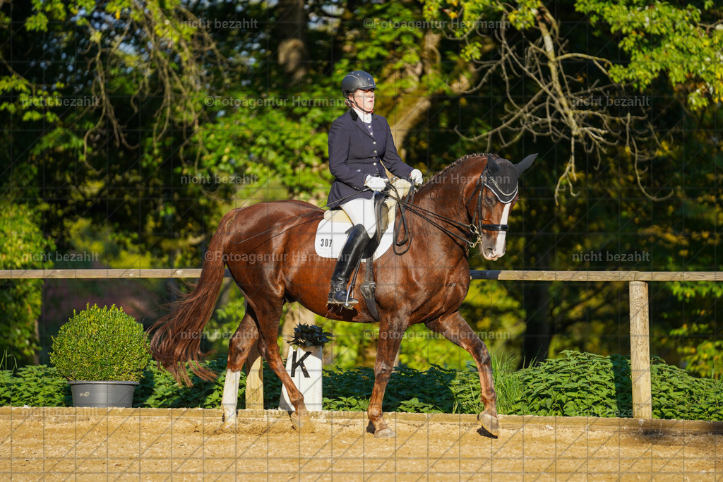 20221007-FAH00355 | Diessen am Ammersee, 2022, Dressur- und Springturnier, Reitsportbilder, Turnierfotografen Bayern, Pferdefotografen, Fotoagentur Herrmann, Turnierbilder