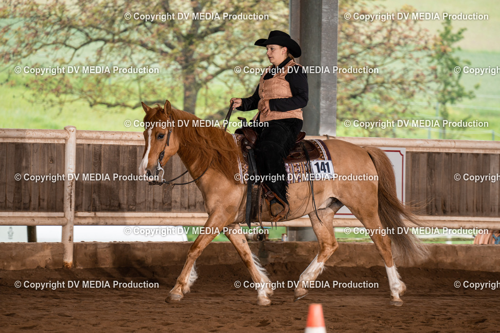 Erbach Tag 3-307 | dv-media-shop - Realisiert mit Pictrs.com