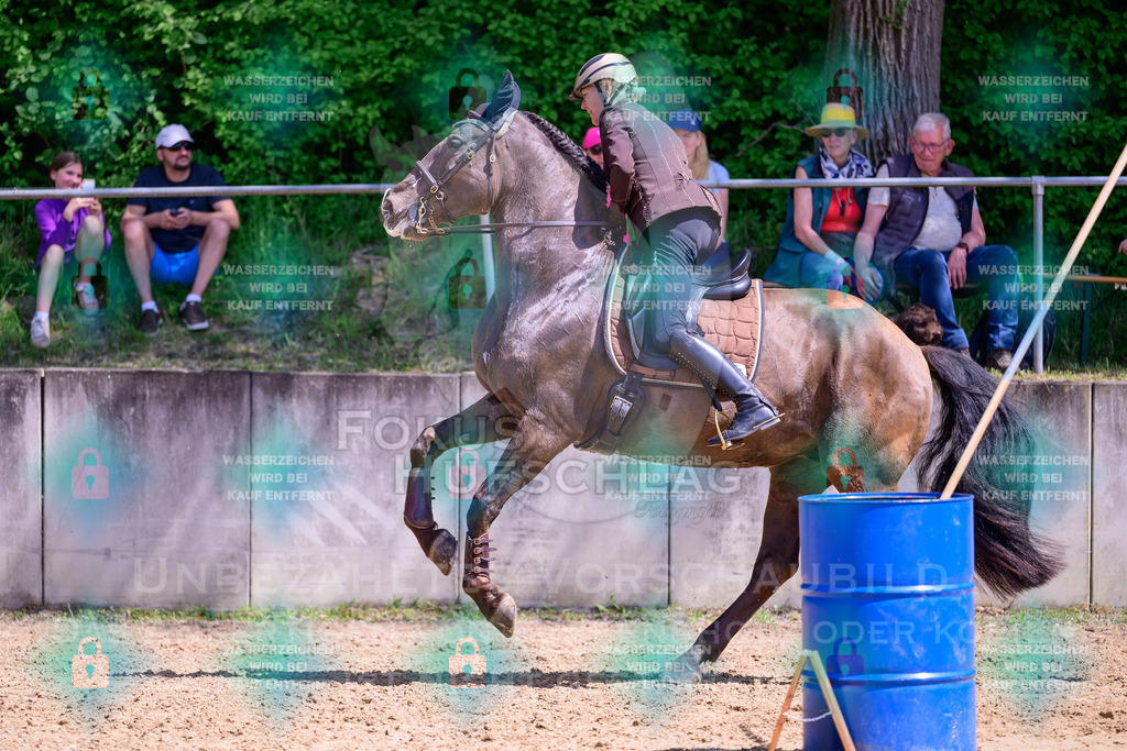 03052026-Giesenbach-05-Stiltrail-0522 | Fokus Hufschlag Fotografie - Realisiert mit Pictrs.com
