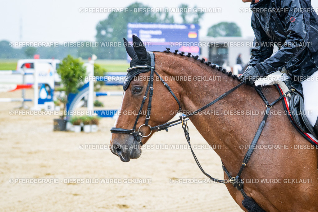 DSC09843 | Pferdegrafie