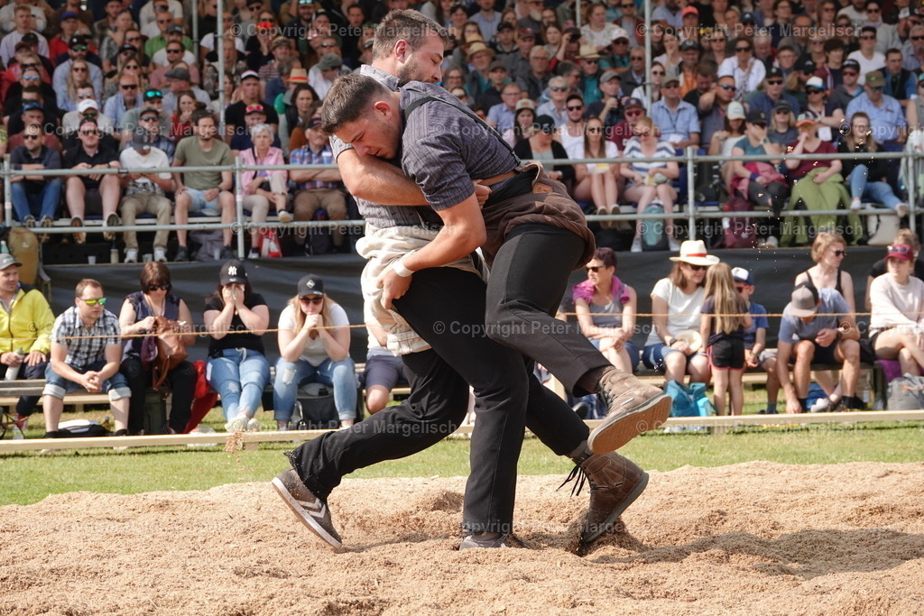 DSC04518 | Schwingen - Realisiert mit Pictrs.com
