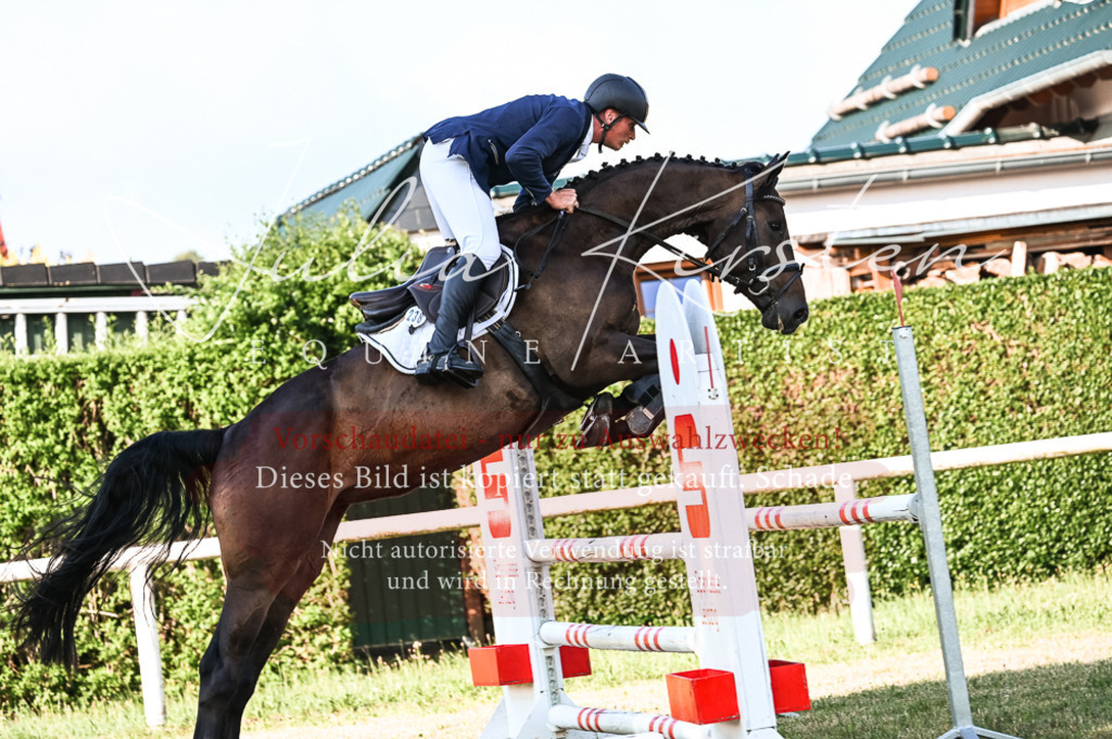 DSC_7456 | Pferde- und Turnierfotografie in Westsachsen. Pferdeportraits, Auftragszeichnungen und intuitive Kunst.