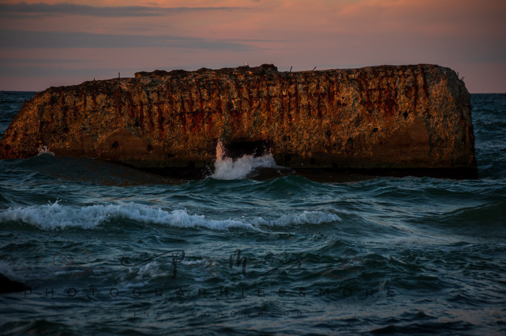 _Sommer2022-0899 | Photographies and more - Realisiert mit Pictrs.com