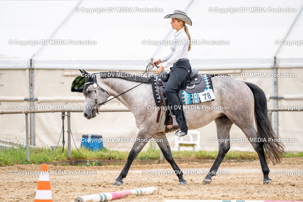 LM Heiligenwald Tag 3-950 | dv-media-shop - Realisiert mit Pictrs.com