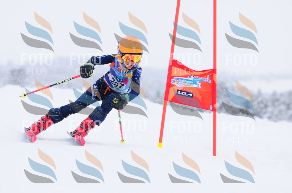 C3019 | holidayphoto