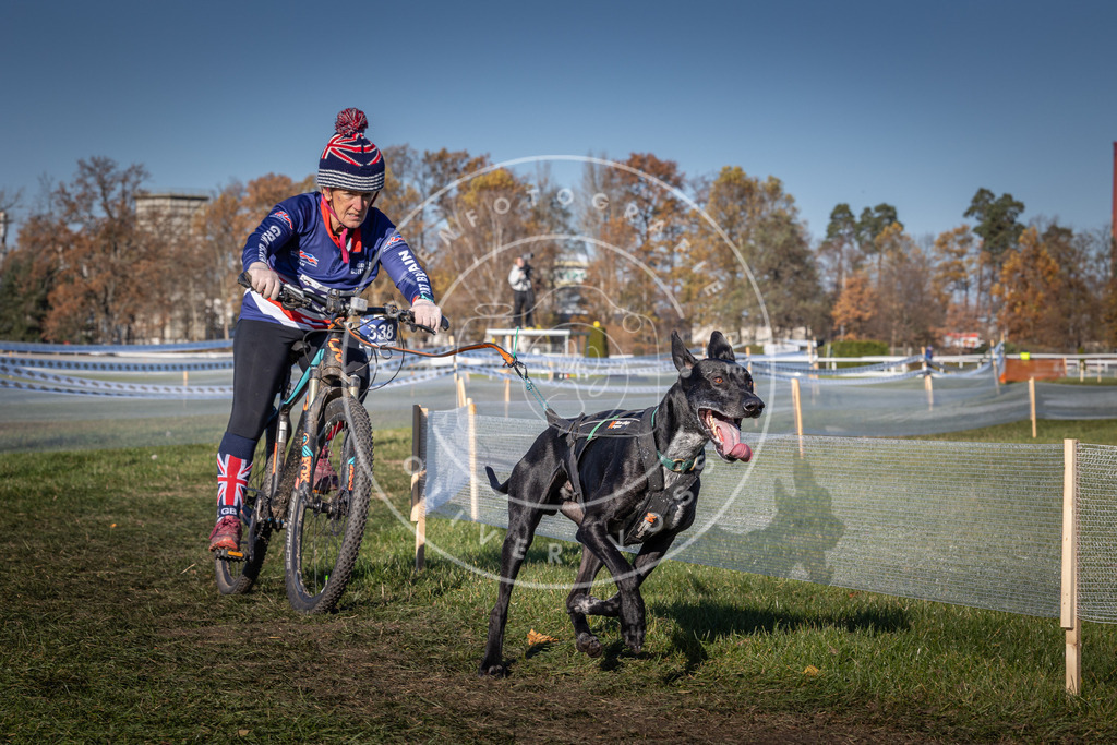 CaniXpix_0L8A5881 | Hundefotografie, Tierfotograf, Pfotenfotografie, Fotoshooting Hund, Hunde Portrait, Hundesport, Hundeportraits, Heideshooting, Hunde, Sportfotograf, Hundefotograf, Turnierhundsport, THS,  - Realisiert mit Pictrs.com