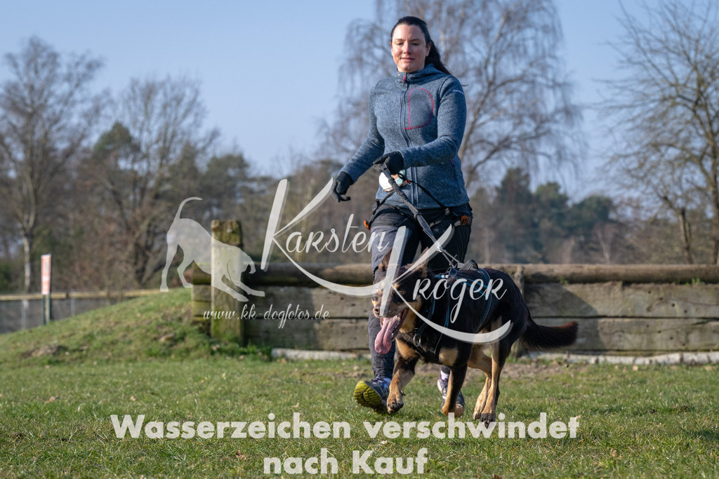 _ZZ94241 | kk-dogfotos
