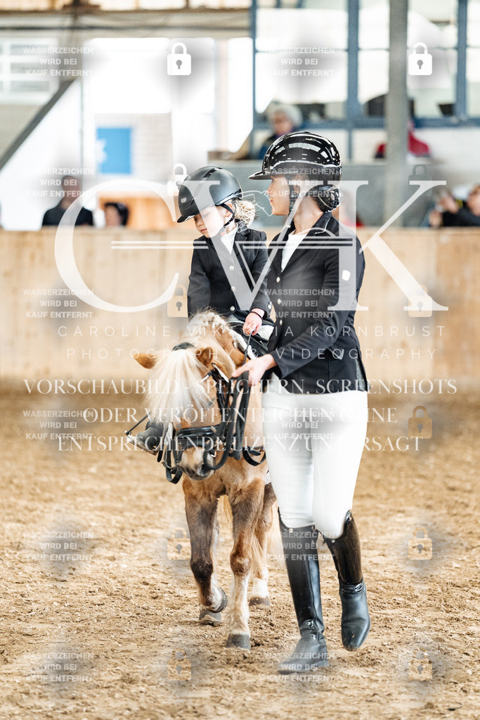 CK905956 | Turnierfotografie Pferdefotografie Trier Rheinland-Pfalz Pferdesport Reitsport Tierfotografie Sportfotografie Pferdevideo Pferdevideografie Equestrianvideography equestrianphotography  - Realized with Pictrs.com