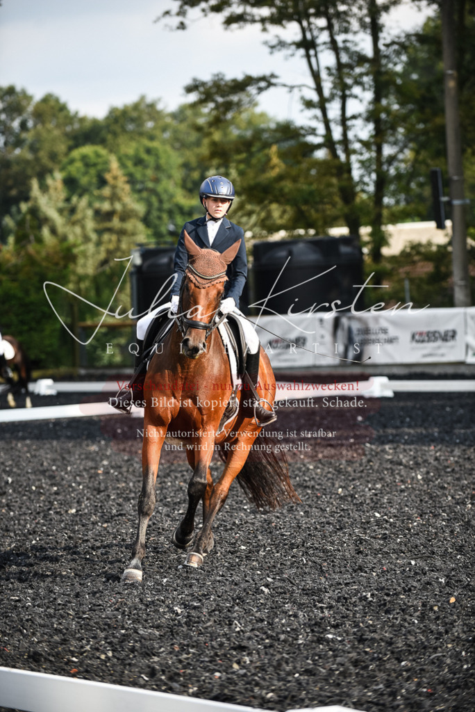 DSC_3374 | Pferde- und Turnierfotografie in Westsachsen. Pferdeportraits, Auftragszeichnungen und intuitive Kunst.