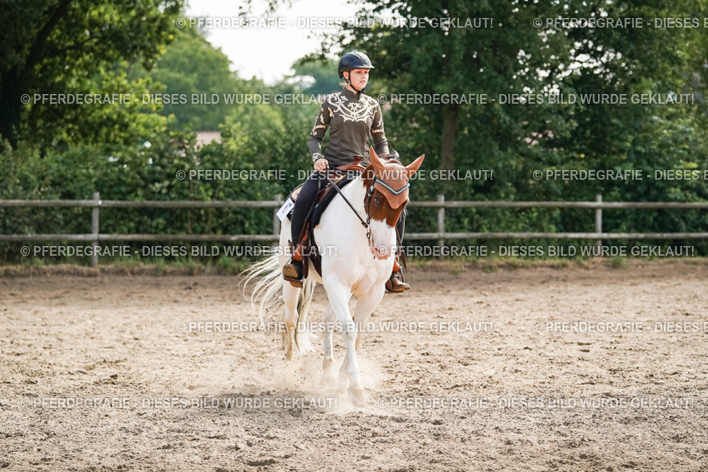 DSC04774 | Pferdegrafie