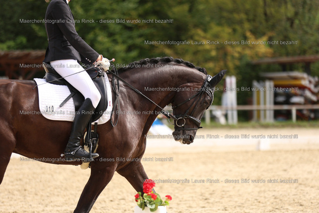 HG9A1172 | laurarinckfotografie - Realisiert mit Pictrs.com