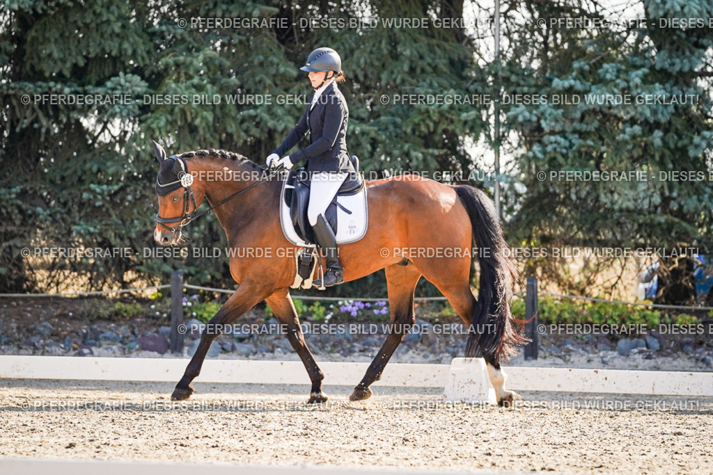 DSC09518 | Pferdegrafie