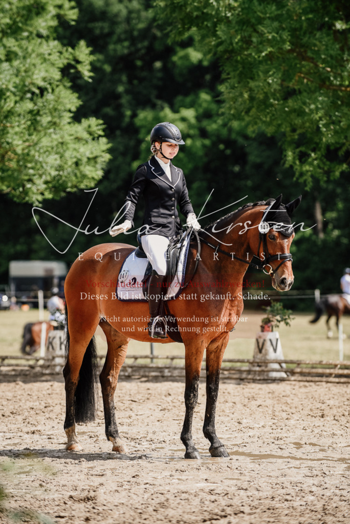 DSC_0889 | Pferde- und Turnierfotografie in Westsachsen. Pferdeportraits, Auftragszeichnungen und intuitive Kunst.