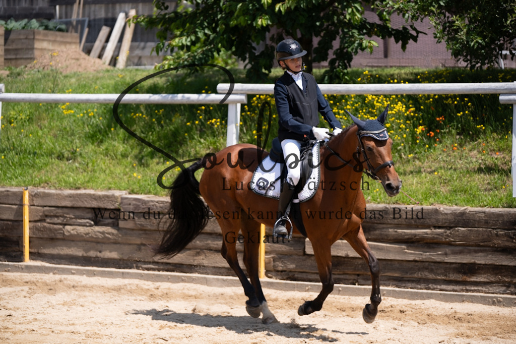 A7V08180 | Pferdefotograf