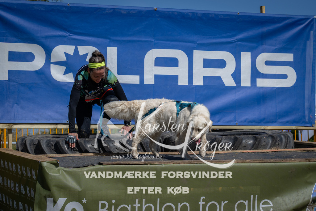 1240_ZZ96122 | kk-dogfotos