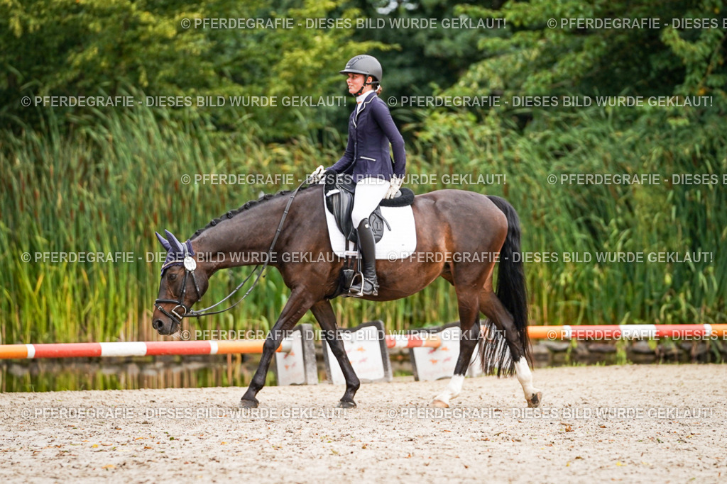 DSC01236 | Pferdegrafie