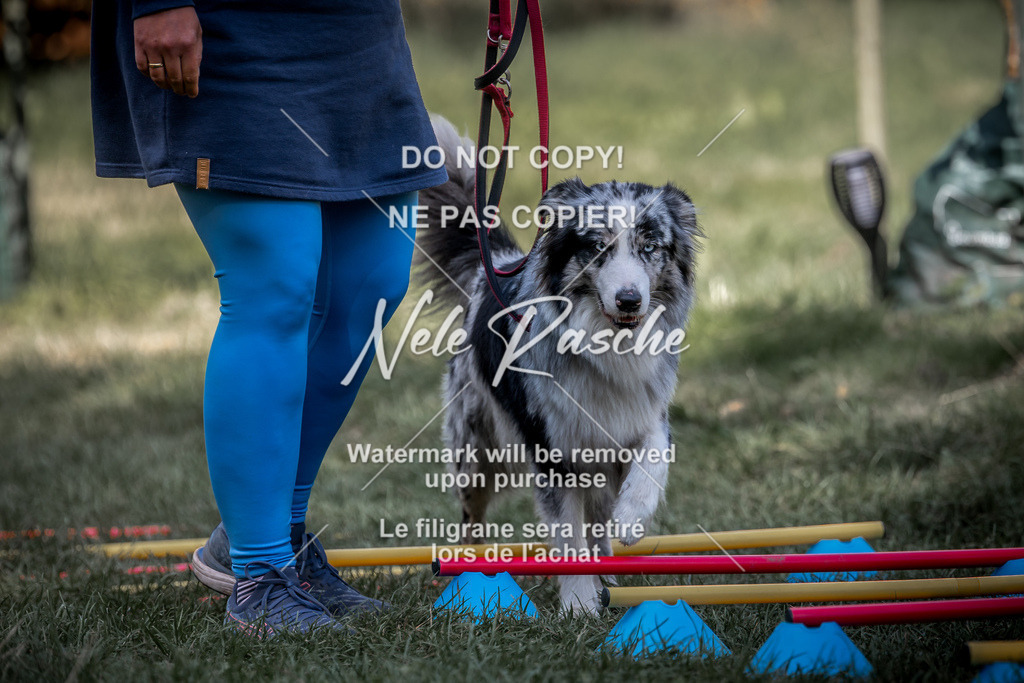 nelerasche_slaw24Sa_126 | nelerasche