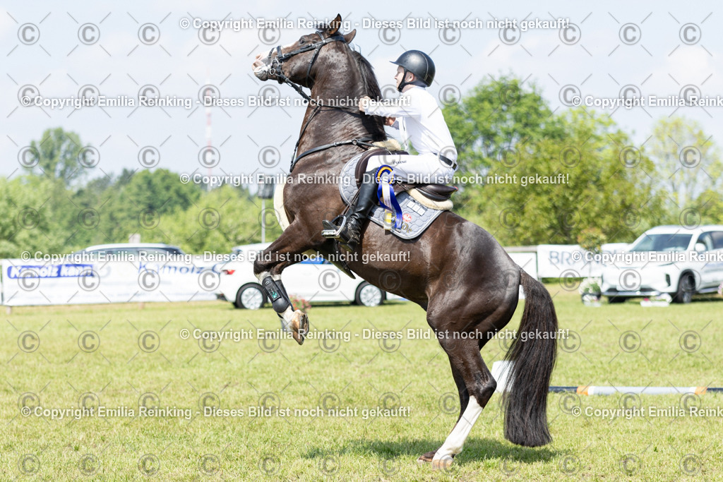 CL5A3843 | Emilia Reinking Fotografie - Realisiert mit Pictrs.com