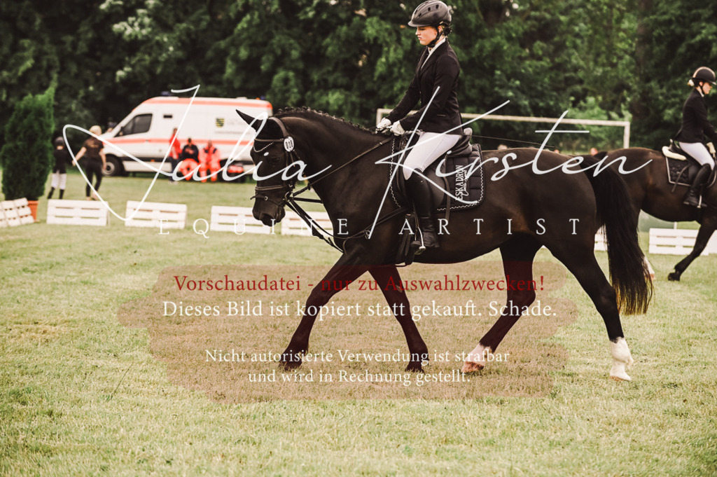 DSC_5080 | Pferde- und Turnierfotografie in Westsachsen. Pferdeportraits, Auftragszeichnungen und intuitive Kunst.