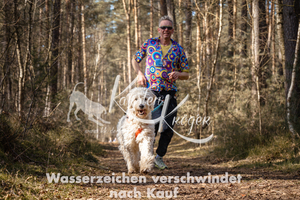 1232_ZZ93746 | kk-dogfotos