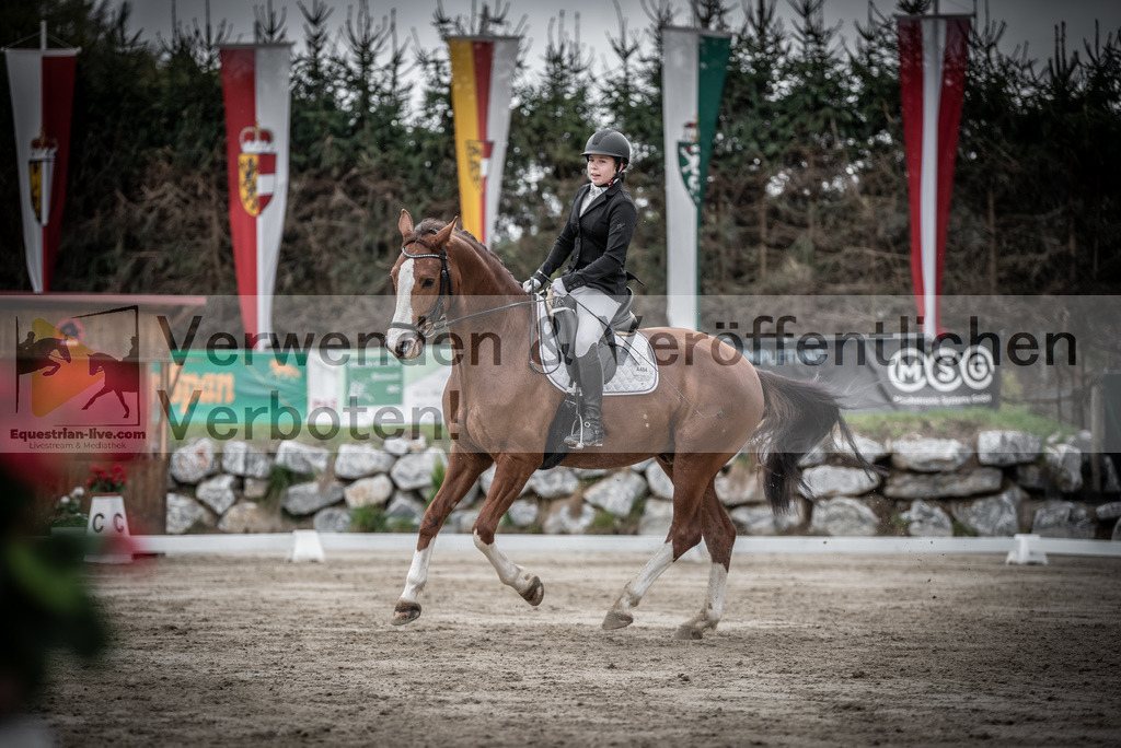 DSC_9661 | equestrian-live-com