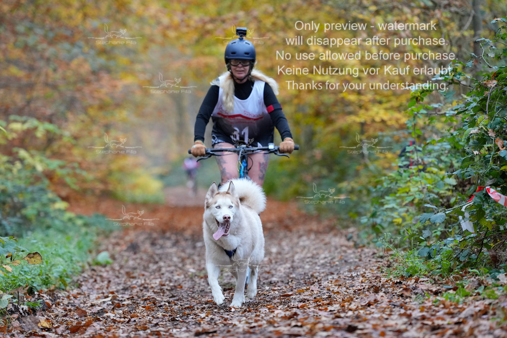 Scooter_So-99 | stephaniefillaphotographie - Realisiert mit Pictrs.com