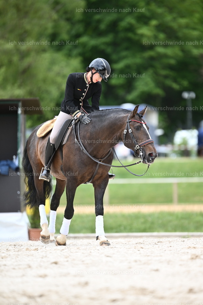 PI26_ST_Sara_Landvogt226_4193.JPG | working equitationturnier fotograf videograf stoibphotography marixx film working equitation deutschland reitsport turnierfotografie eventfotografie equestrian events