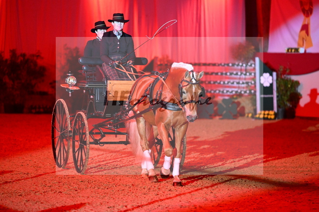 DSP_Avici_As_Karosser_2254551 | hf-fotografie - Realisiert mit Pictrs.com