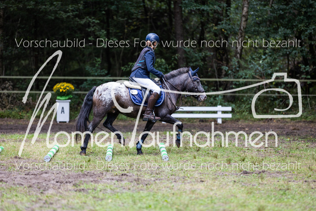 HB-Caprilli-031 | MomenTaufnahmen Pferdesportfotos