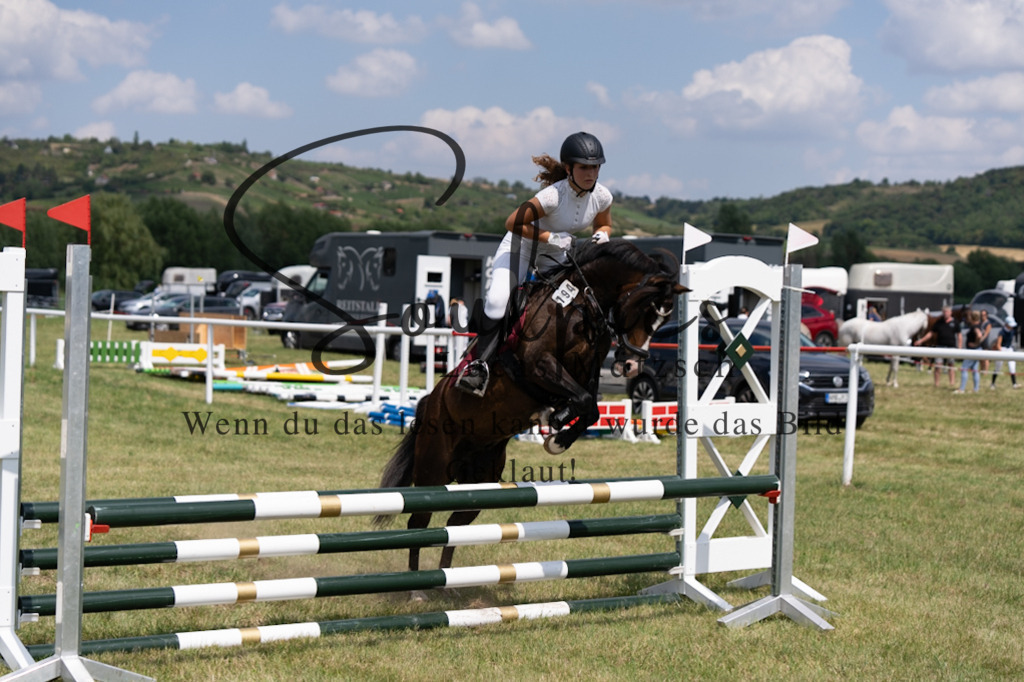 A7V00281 | Pferdefotograf