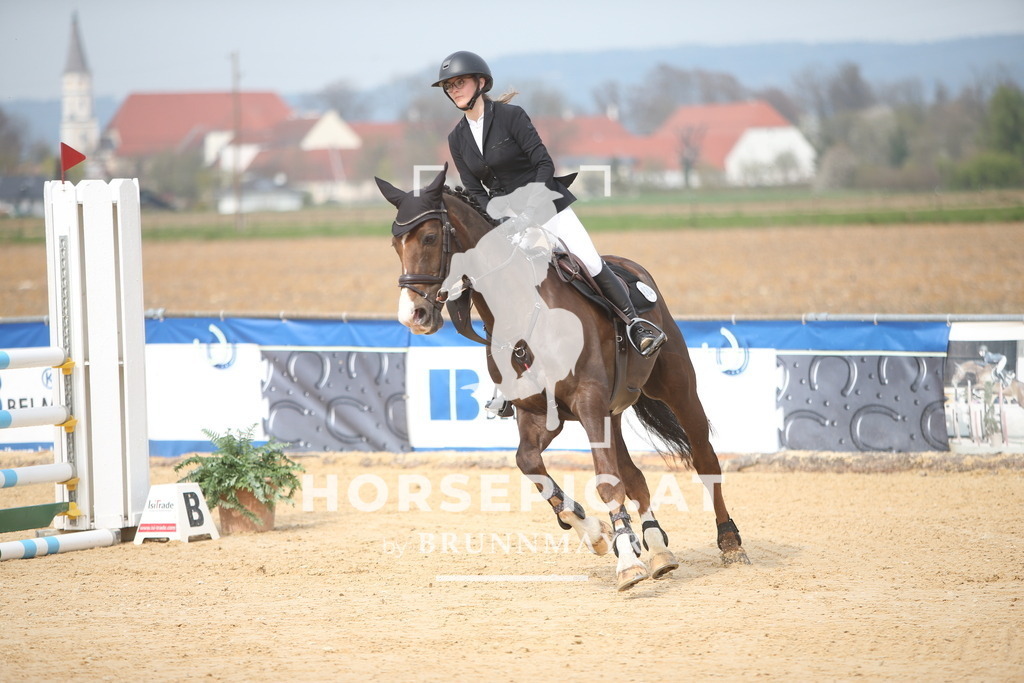 PP018232 | Willkommen bei Brunnmayr - Design & Fotografie – Ihrem Spezialisten für Reitturniere und Pferdeveranstaltungen in Oberösterreich, Salzburg und Bayern! Seit über 17 Jahren sind wir leidenschaftlich dabei.