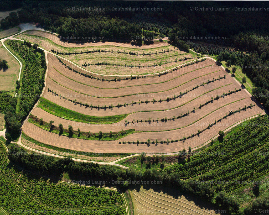 2519457 | Baumschule bei Streitberg