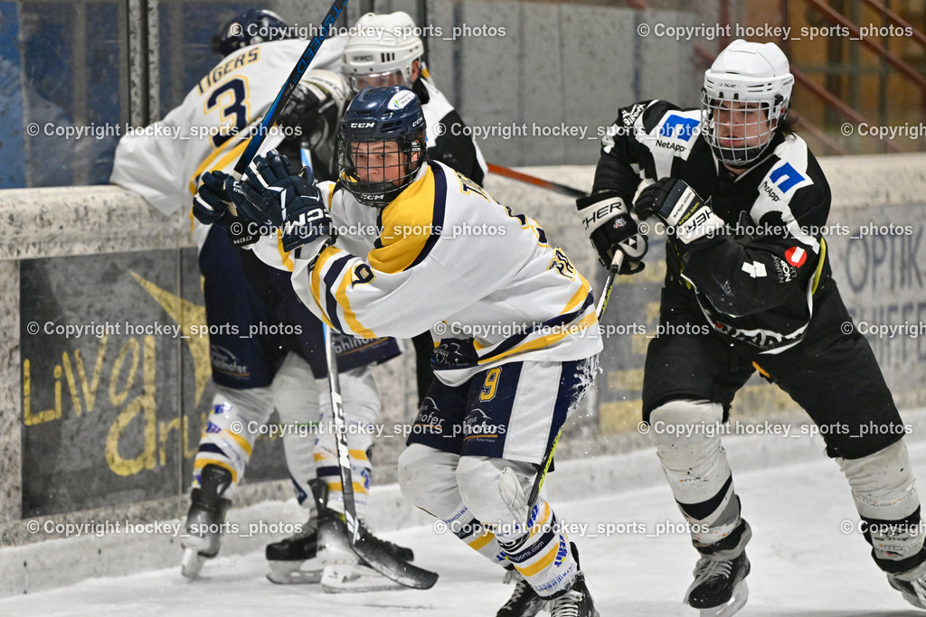 EC Tigers Paternion vs. Tarco Wölfe II | #9 Gratzer Julian EC Tigers Paternion, #4 Halbrainer Paul Tarco Wölfe II, #3 Kronawetter Piersilvio EC Tigers Paternion, EC Tigers Paternion vs. Tarco Wölfe II, EC Tigers Paternion vs. Tarco Wölfe II am 19.12.2024 in Spittal an der Drau (Eissportzentrum Spittal), Austria, (Photo by Bernd Stefan)