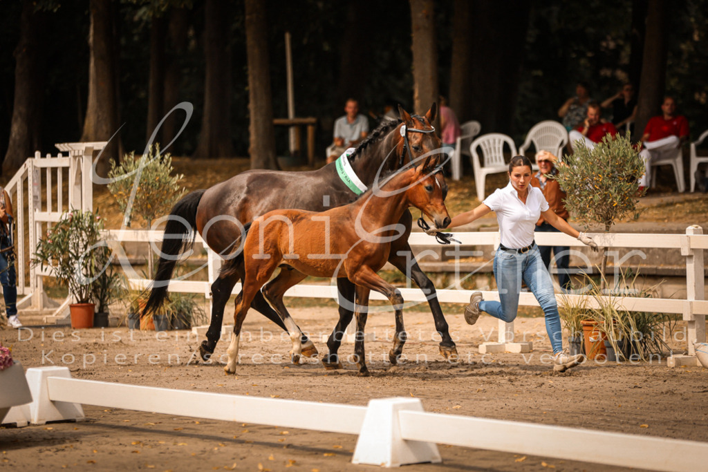 SaPA00009 | Leoni Ertmer Photography - Realisiert mit Pictrs.com