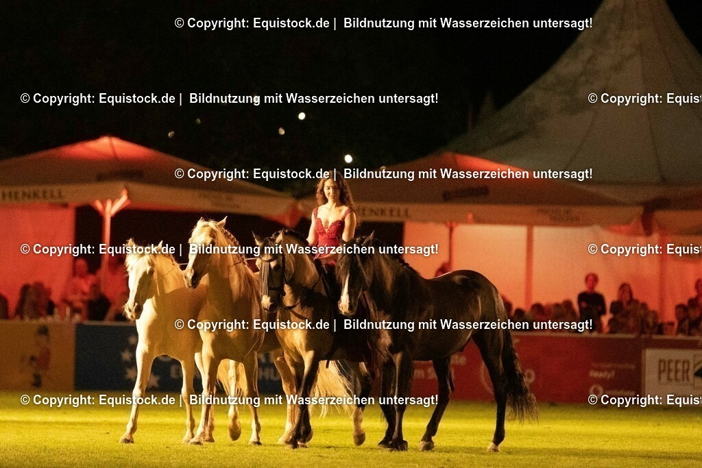 20230526_Pferdenacht_1521 | equistock