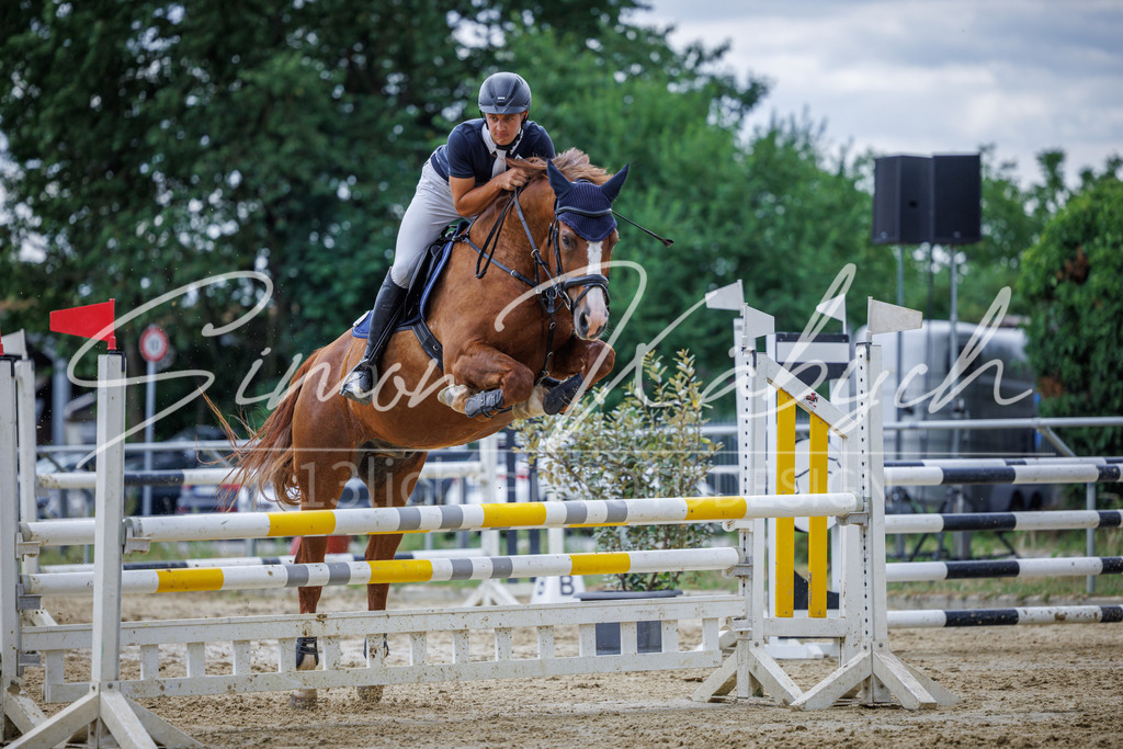 20260705-_3LI6229 | Tierfotografie Pferde, Hunde, Katzen, Haustiere.
Turnierfotografie Reitturniere, Reiten, Springreiten, Dressur in Hanau, dem Main-Kinzig-Kreis und dem Rhein-Main- Gebiet um Frankfurt