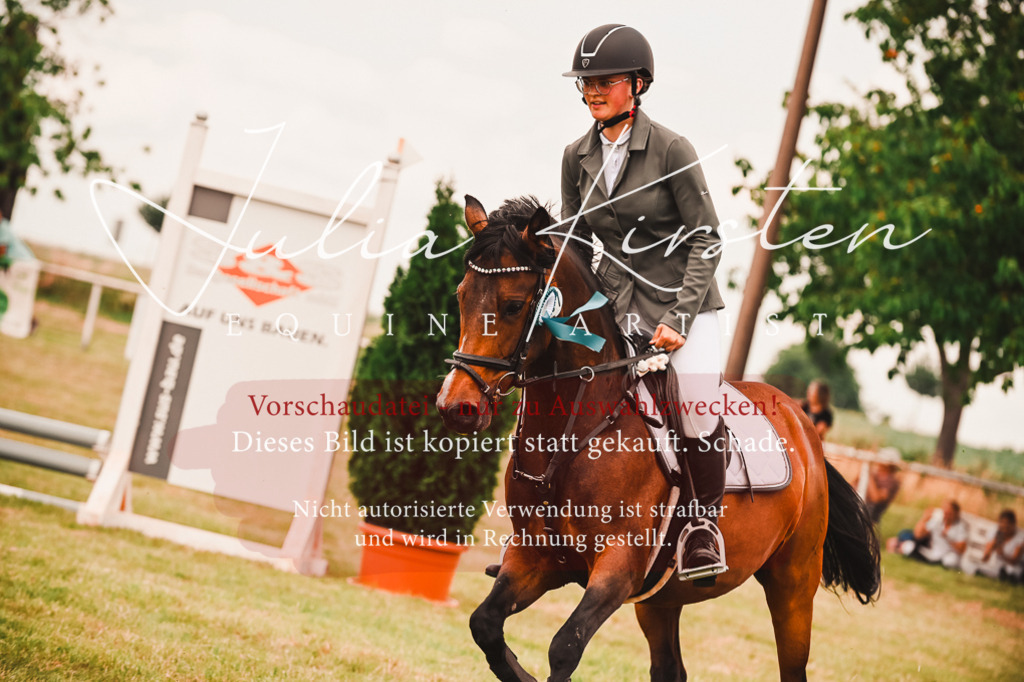DSC_6998 | Pferde- und Turnierfotografie in Westsachsen. Pferdeportraits, Auftragszeichnungen und intuitive Kunst.