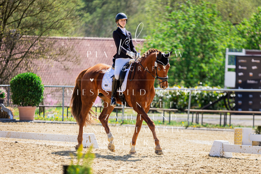 IMGT7308 | pl-fotografie