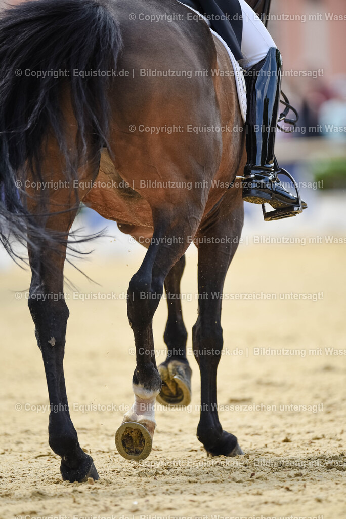20250607_1_GP-Tour_Dressage_0132 | Foto: Thomas Hartig